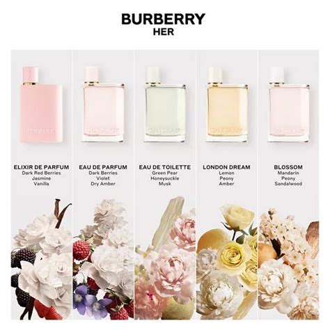 perfume dupes for my burberry|dupes for Burberry her perfume.